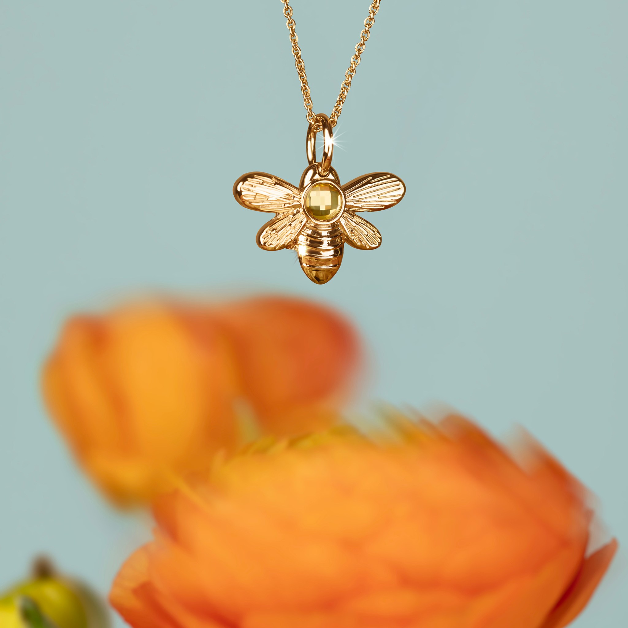 Collection Bild Anhänger