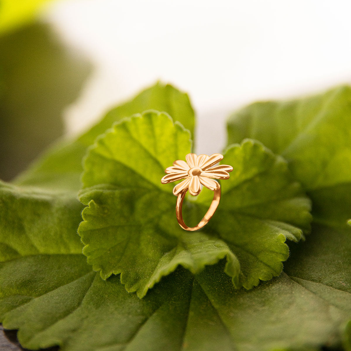 Ring Margaret No. 1 vergoldet - Trägeransicht