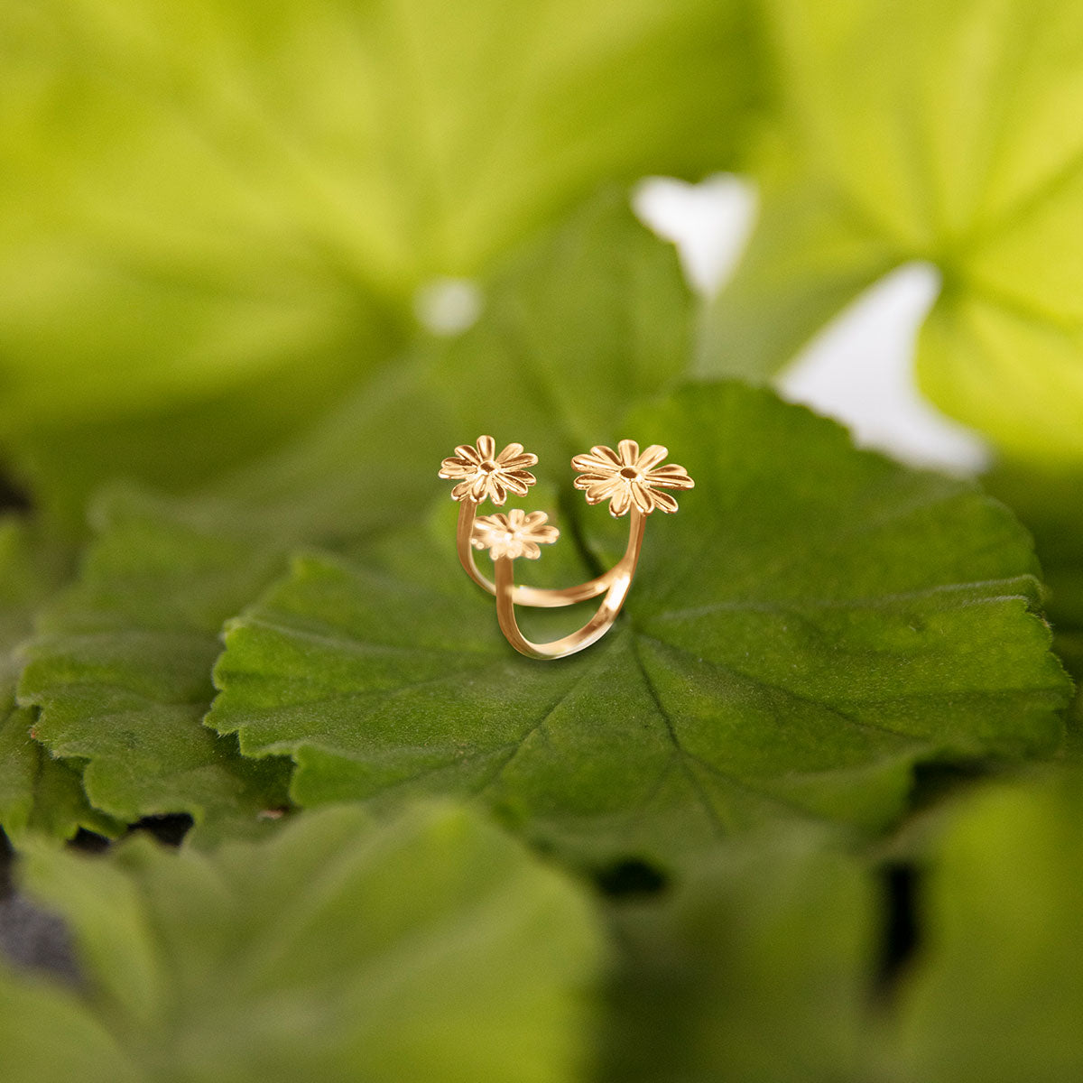 Ring Margaret No. 3 vergoldet - Trägeransicht