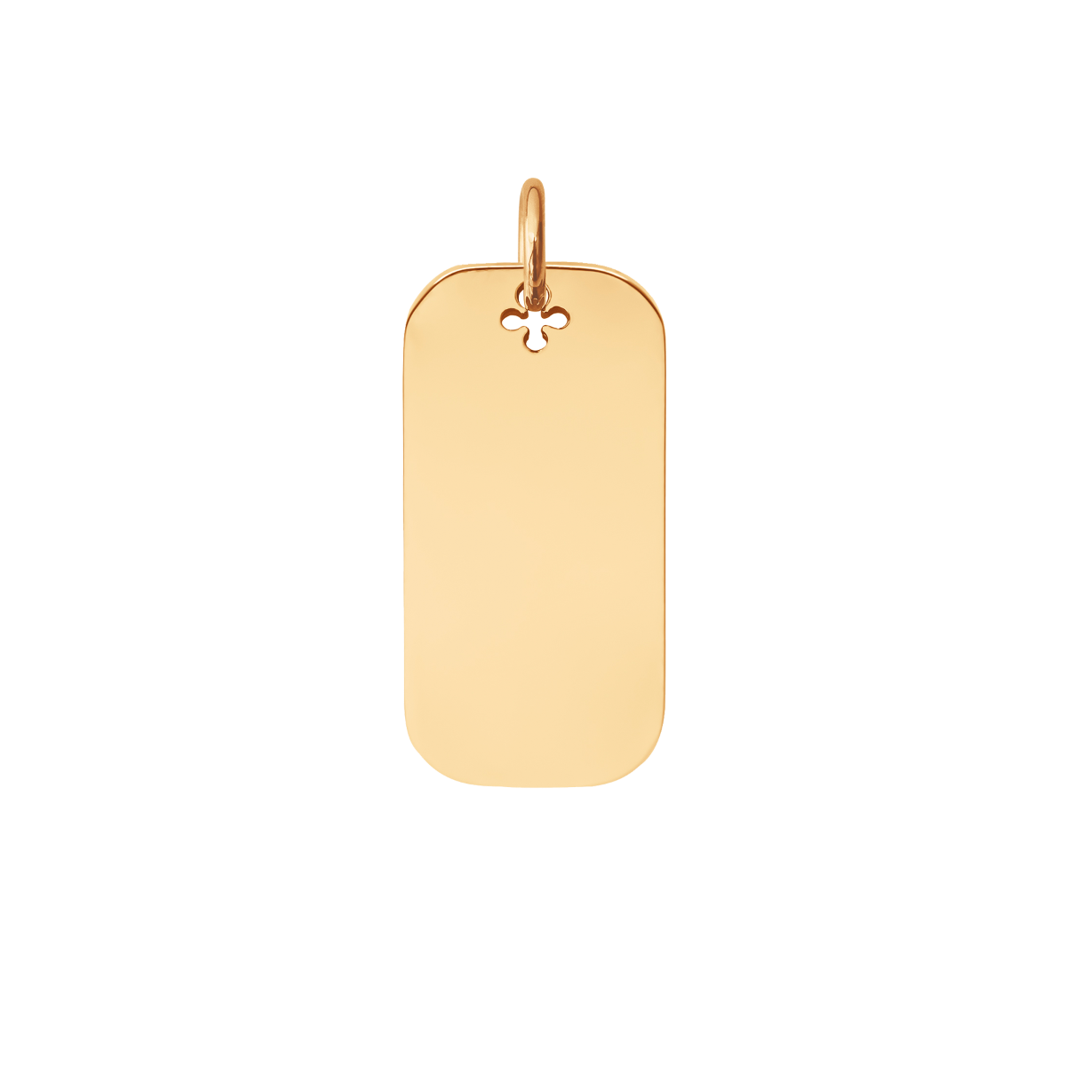 Vergoldete Dog Tag 2,4 cm - Vorderansicht
