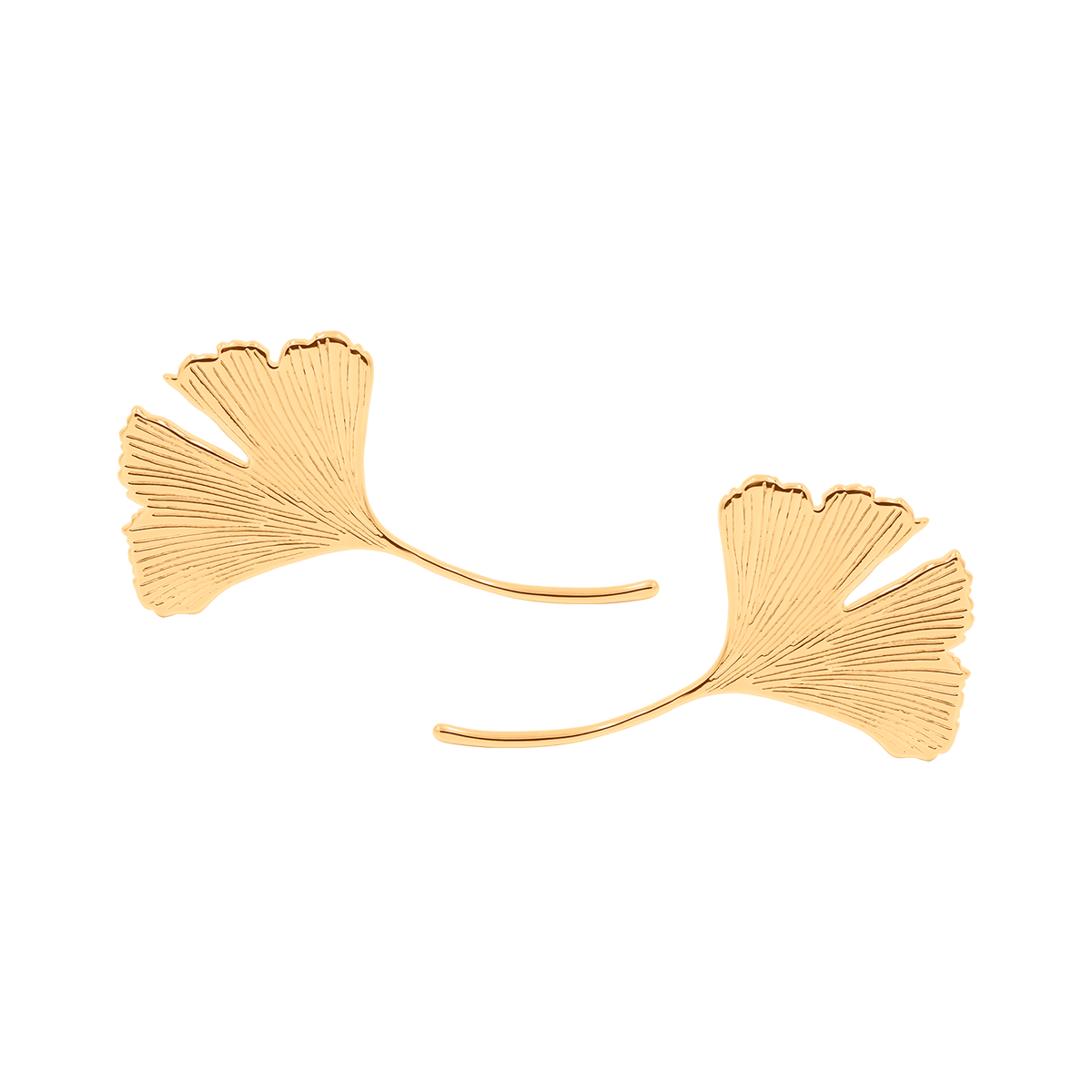 Ohrringe Ginkgo 4 cm, vergoldet - Vorderansicht