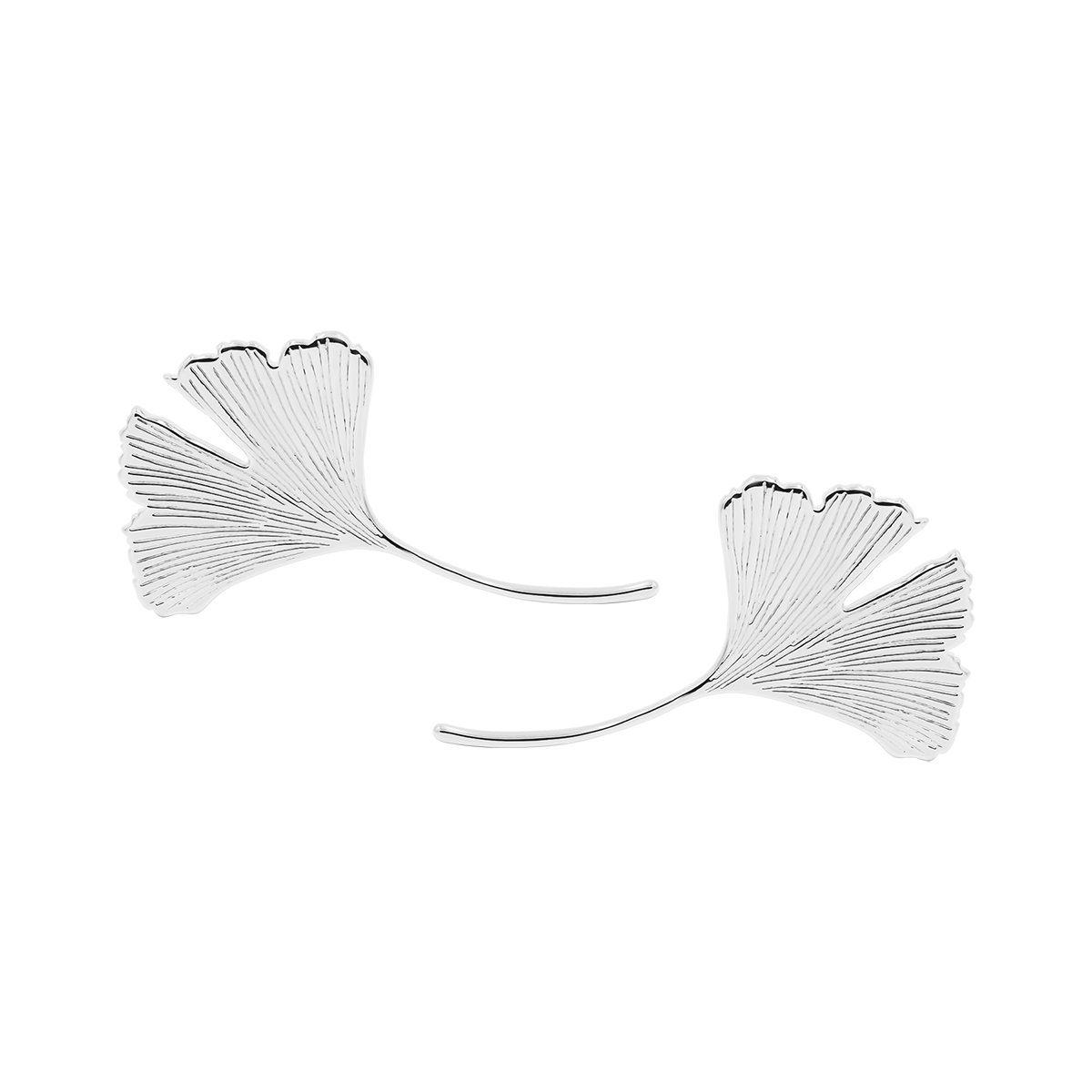 Ohrringe Ginkgo 4 cm, versilbert - Vorderansicht