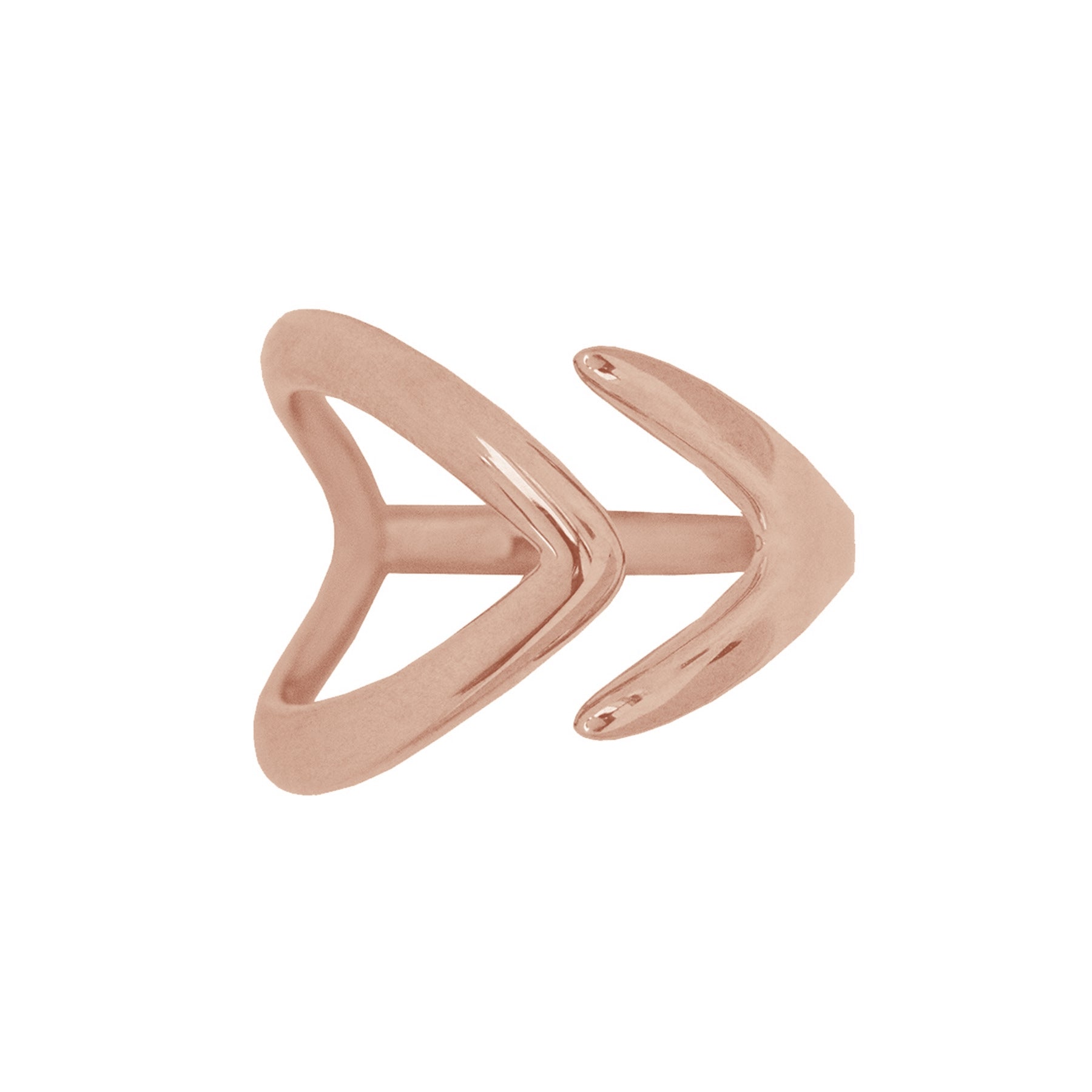 Ring Fische