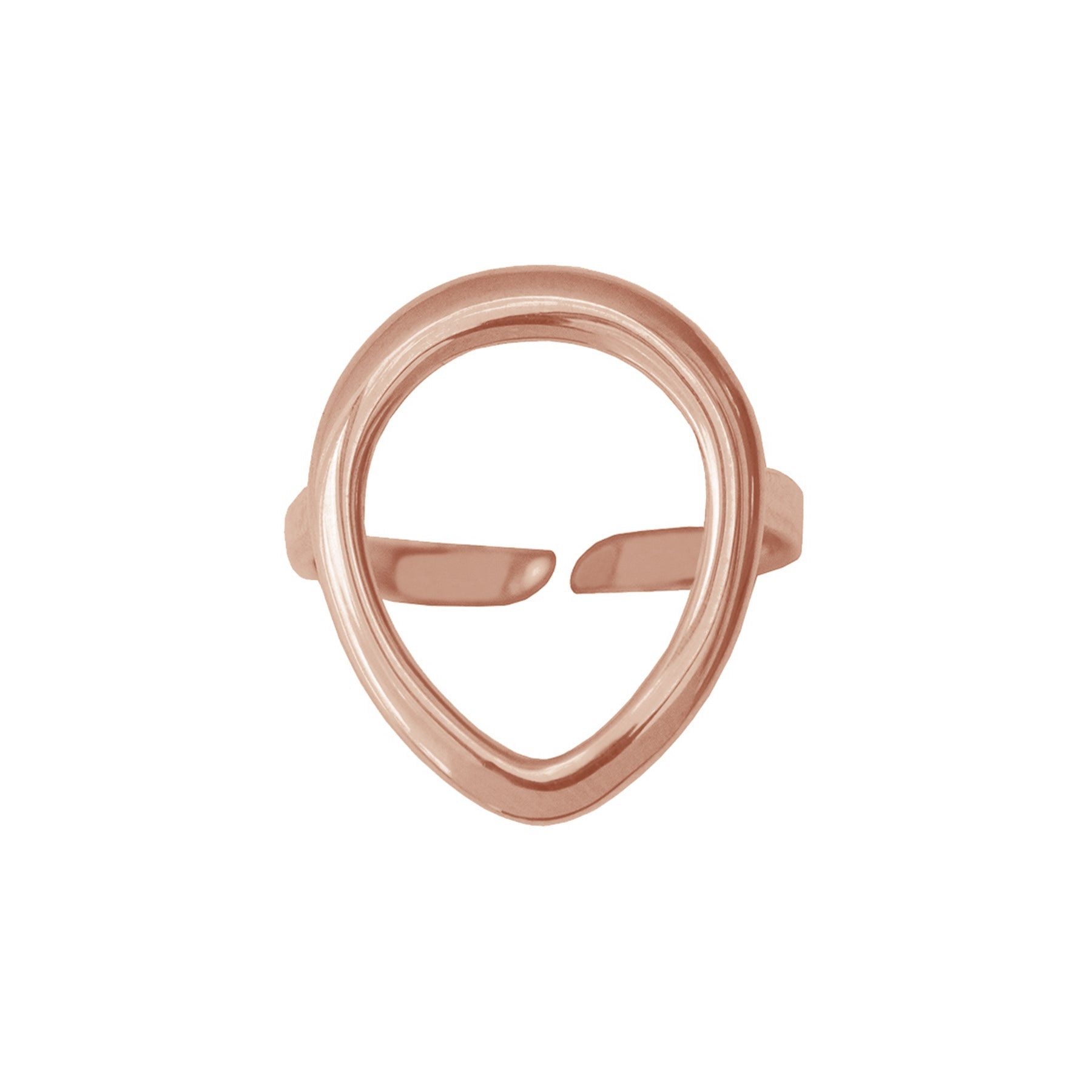 Ring Löwe