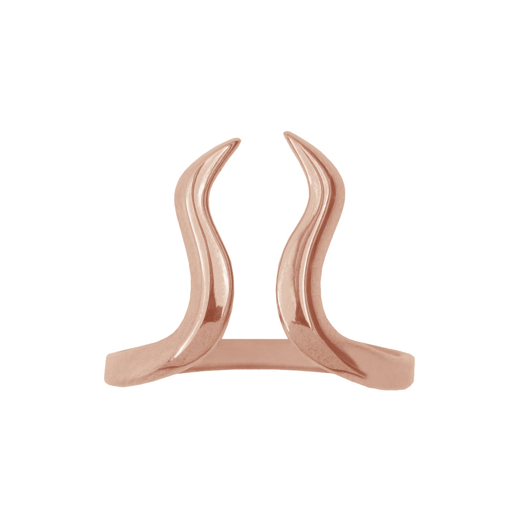 Ring Stier
