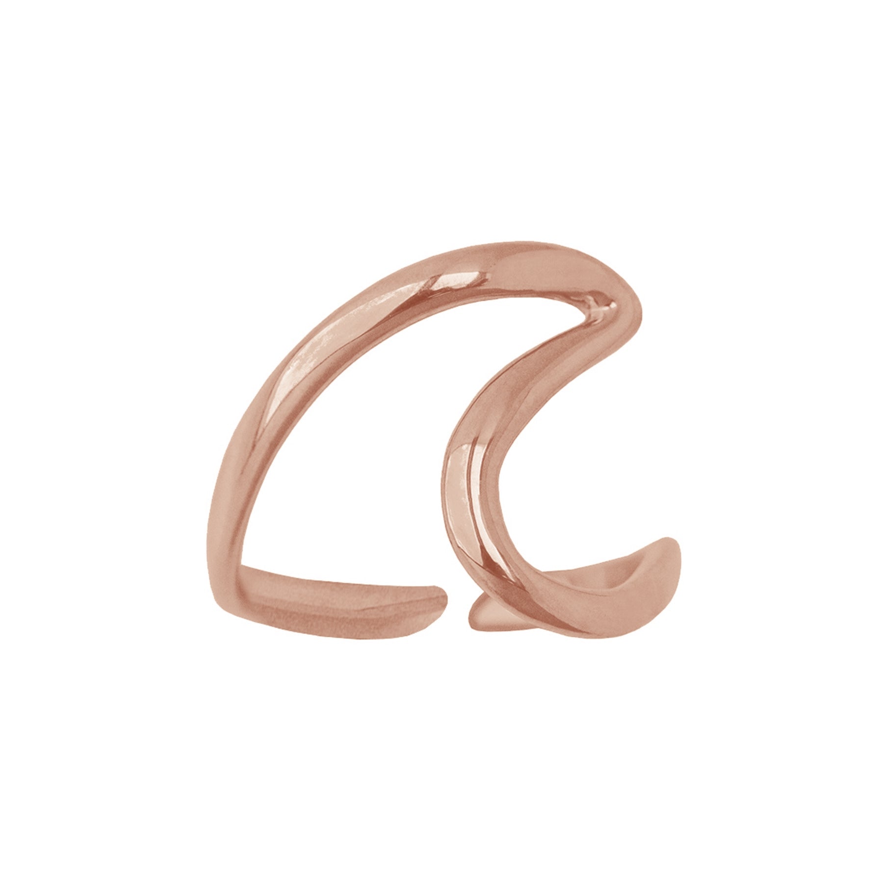 Ring Wassermann