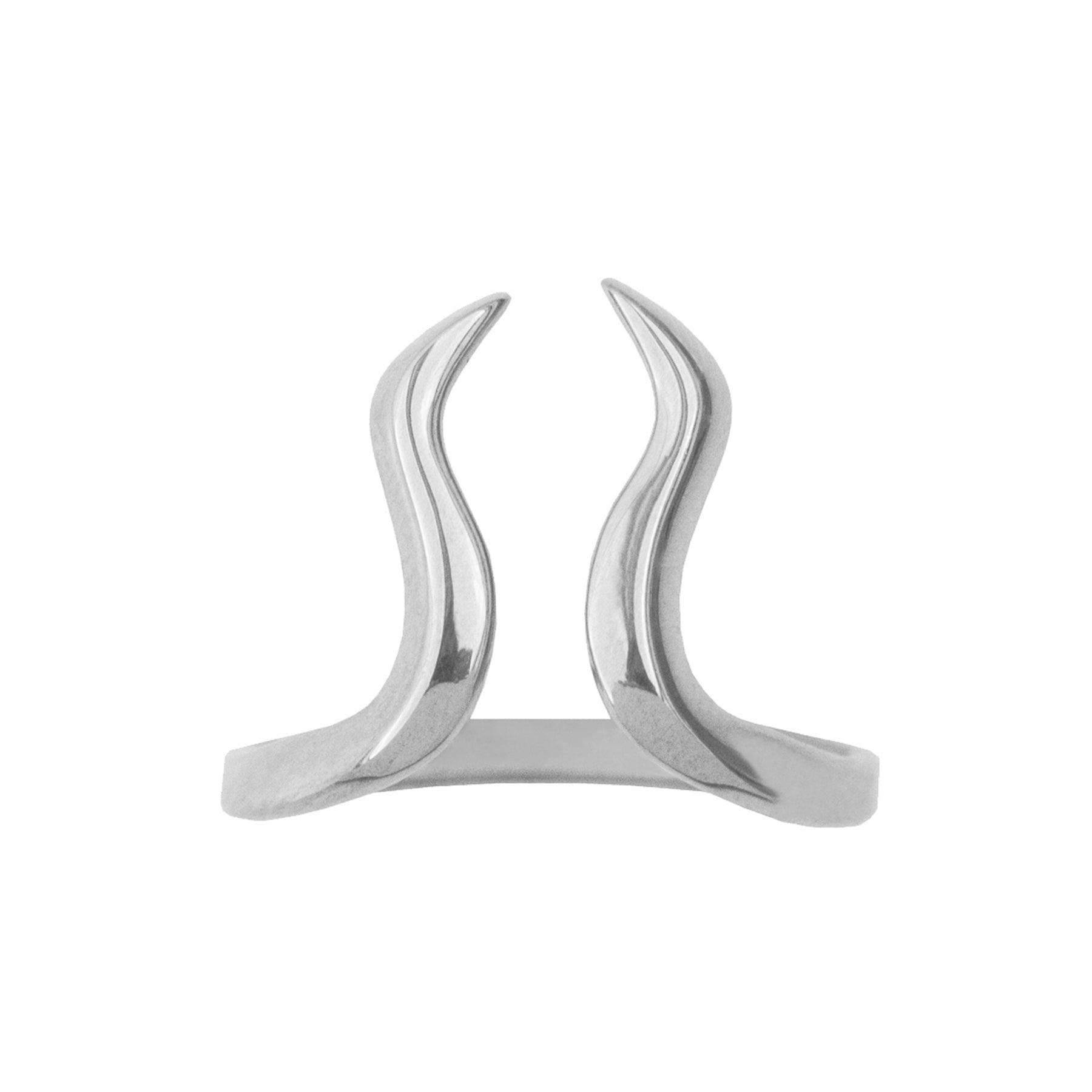 Ring Stier