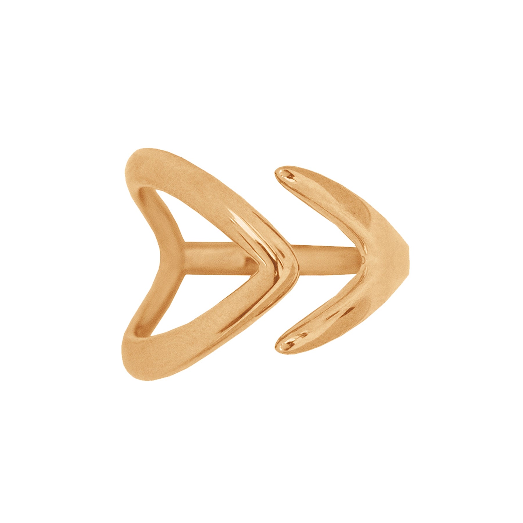 Ring Fische