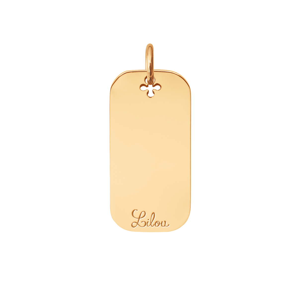 Vergoldete Dog Tag 3 cm - Trägeransicht