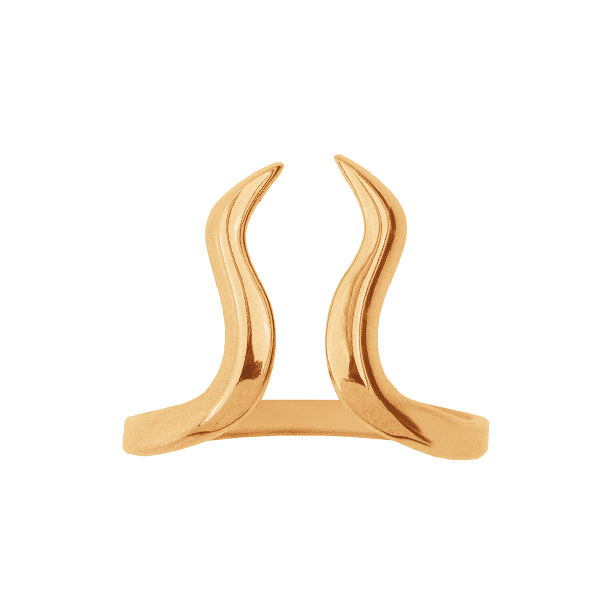 Ring Stier