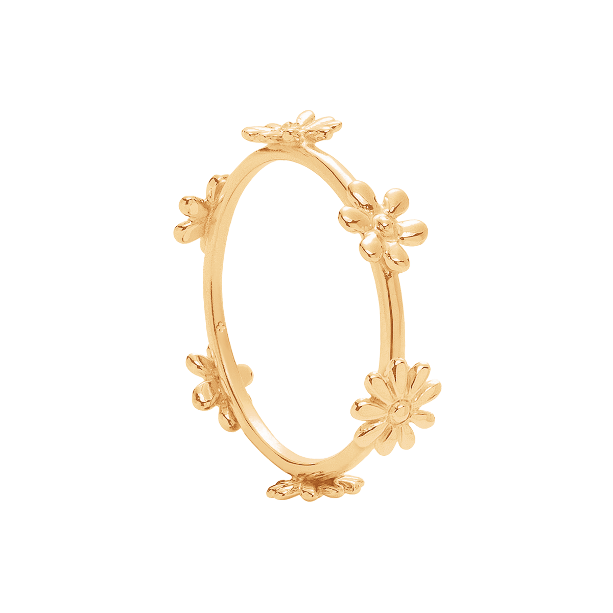 Ring Flowers - Vorderansicht