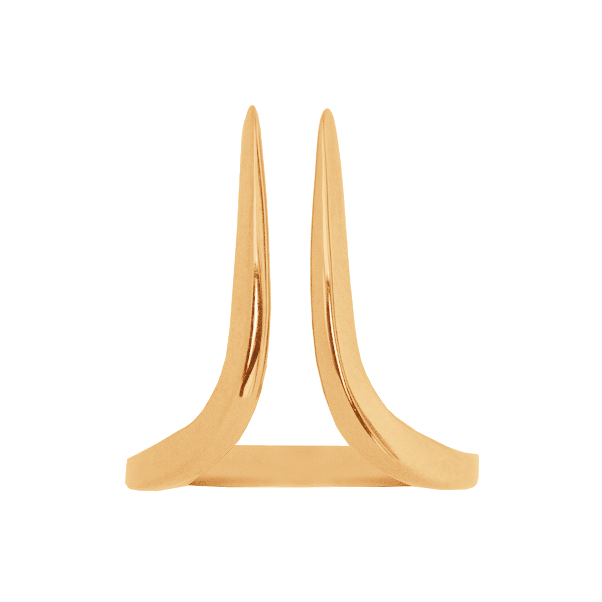 Ring Steinbock