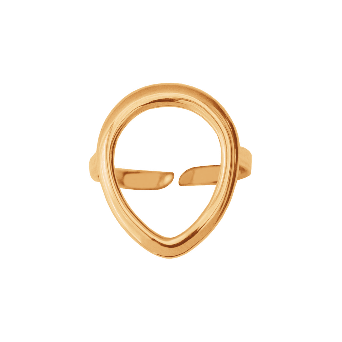 Ring Löwe