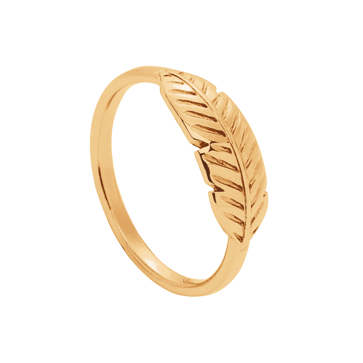 Ring Feder