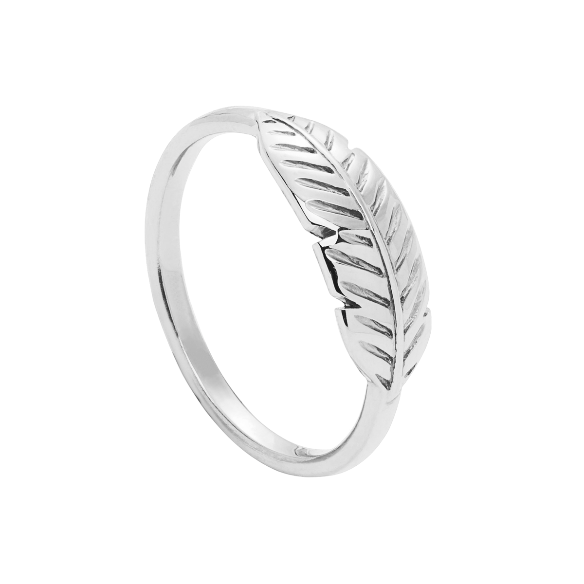 Ring Feder