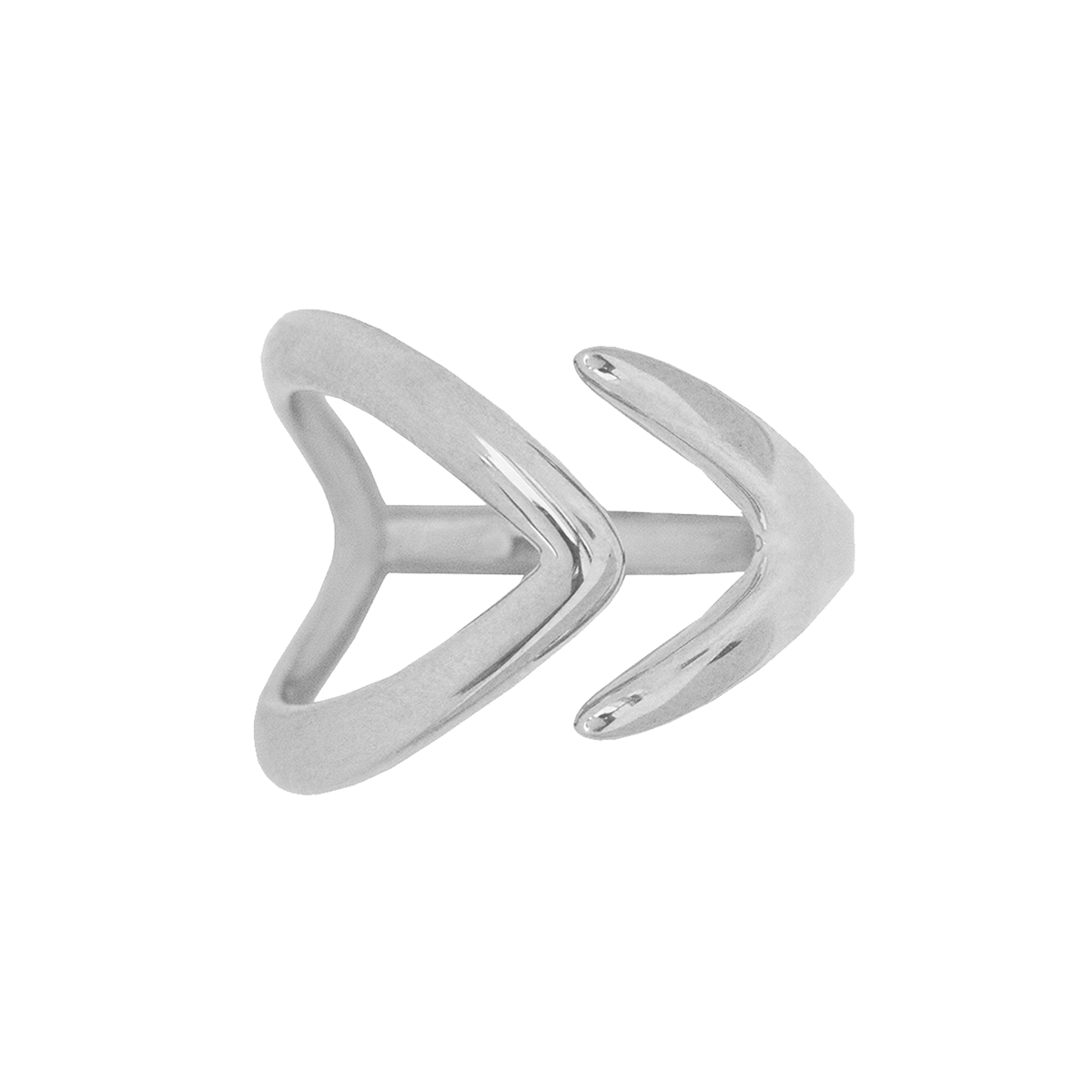 Ring Fische