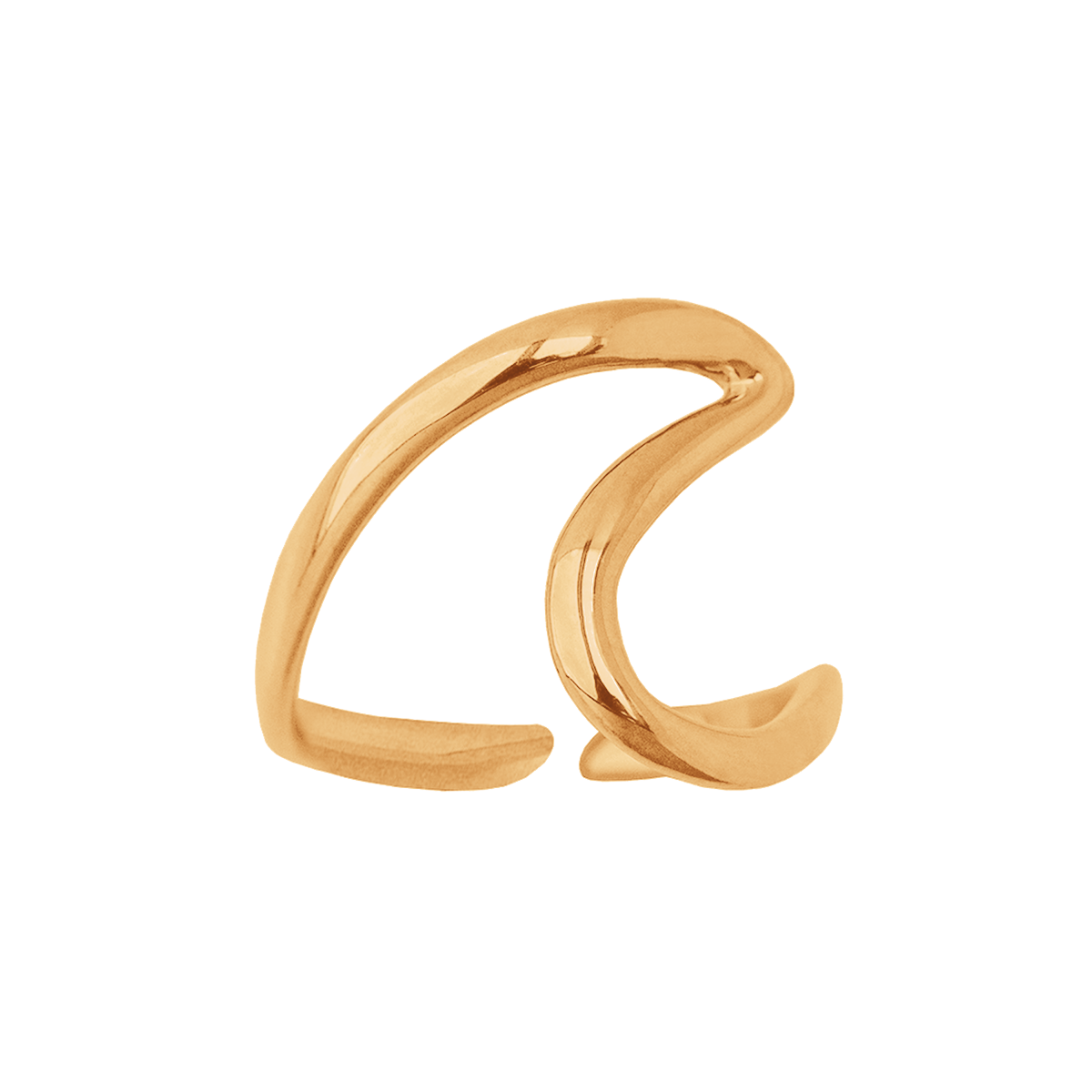 Ring Wassermann