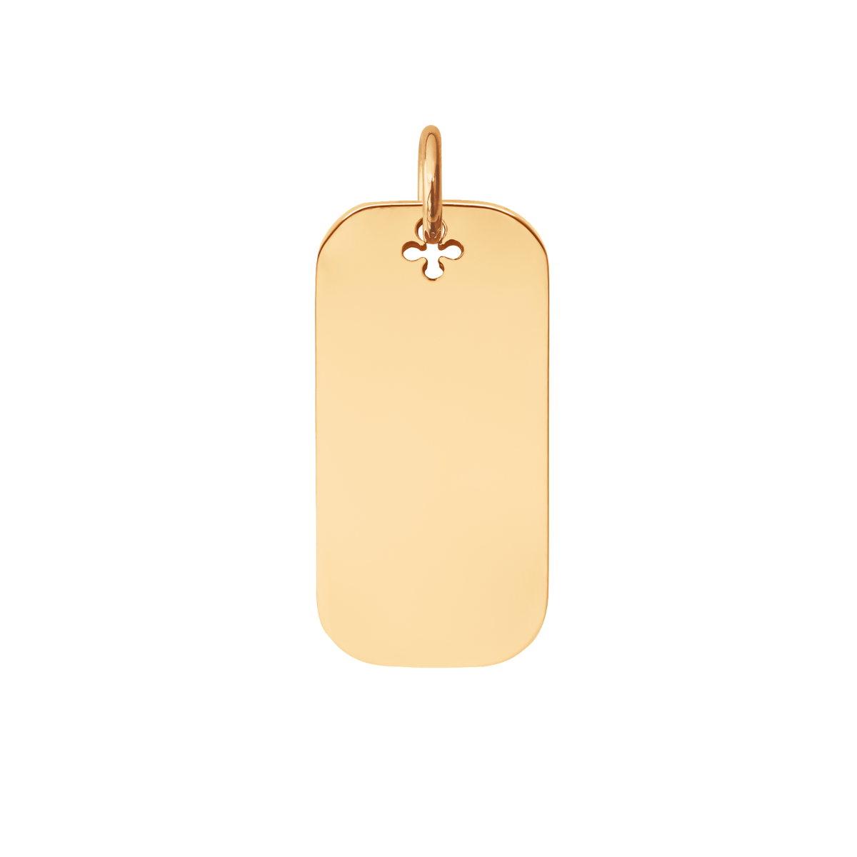 Vergoldete Dog Tag 3 cm - Vorderansicht
