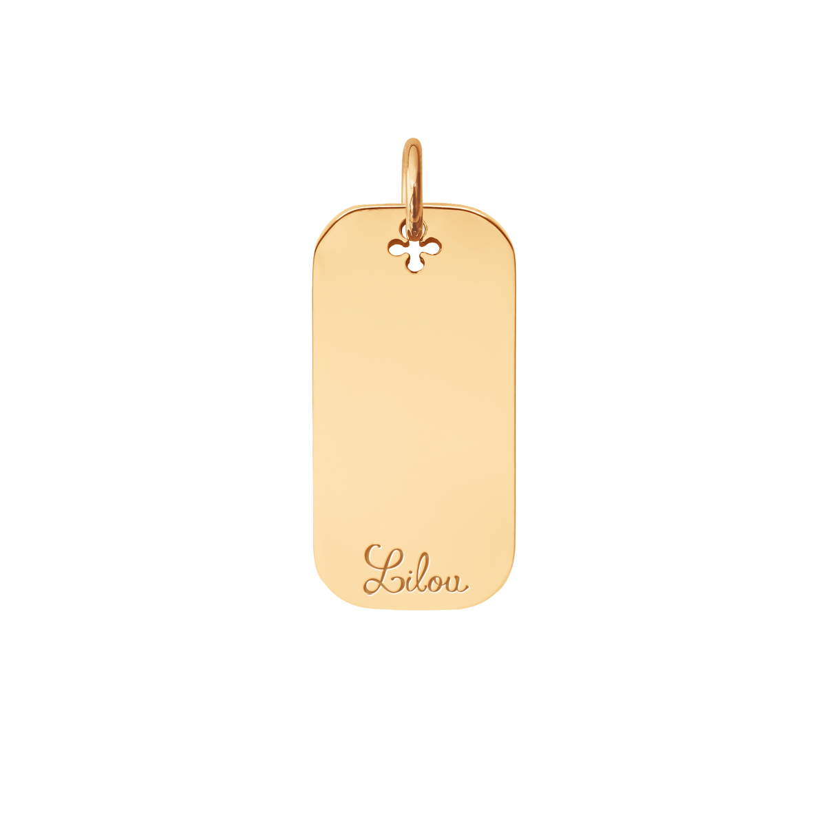 Vergoldete Dog Tag 2,4 cm - Detailansicht