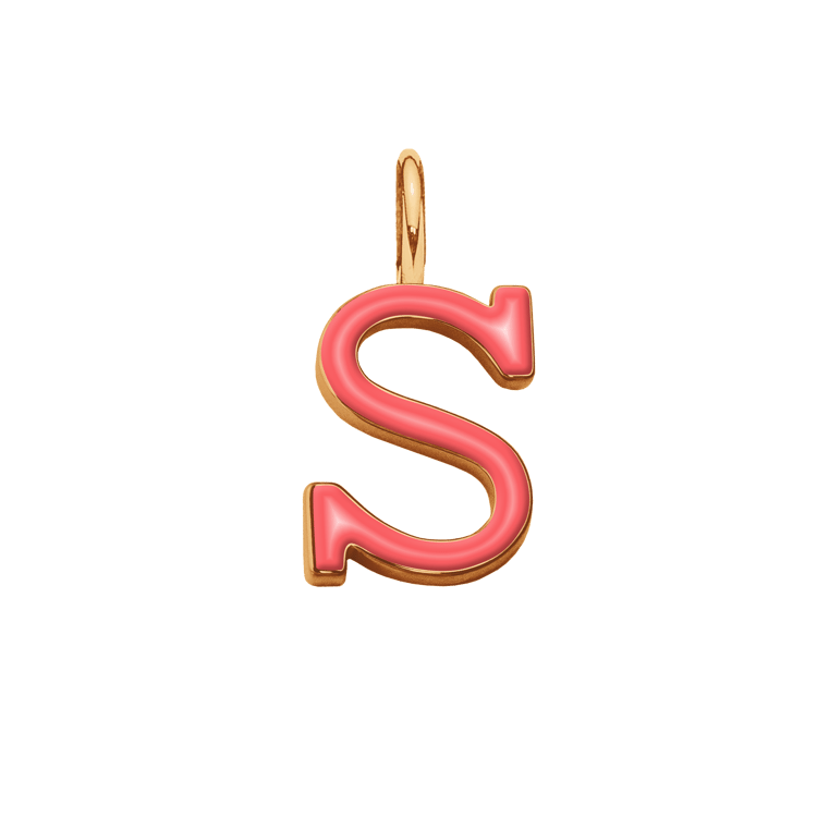 Emaillierte Buchstabe S